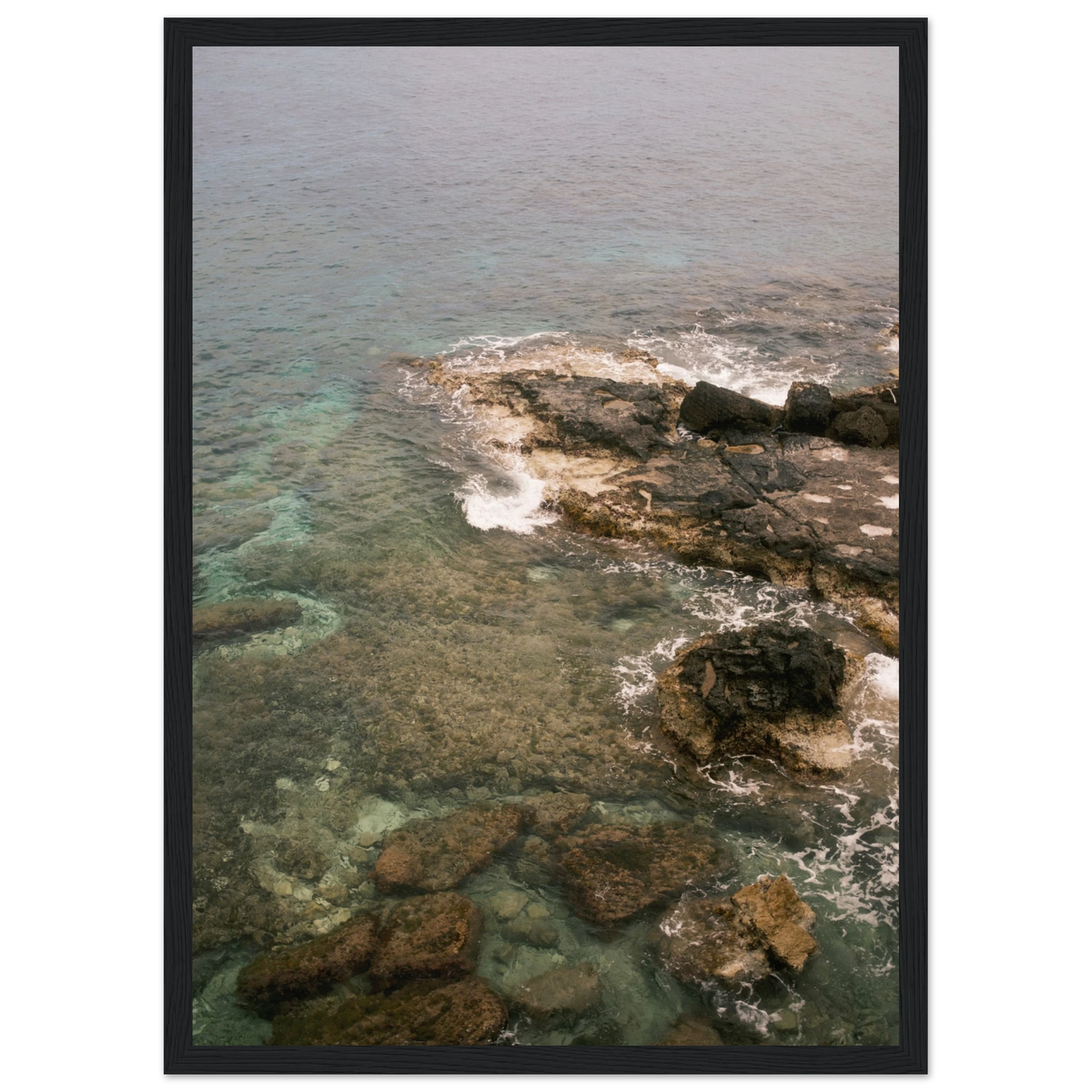 0166ff3f-e119-4131-8b49-6638a2efbf42