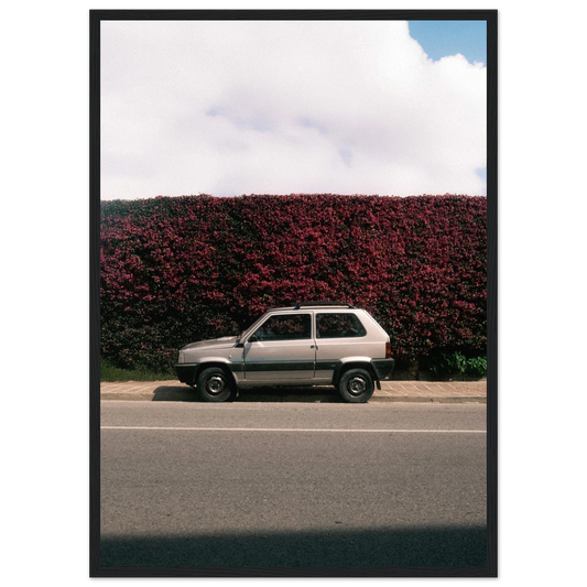 135667d2-af0f-4d54-ad5b-81d429b3db25