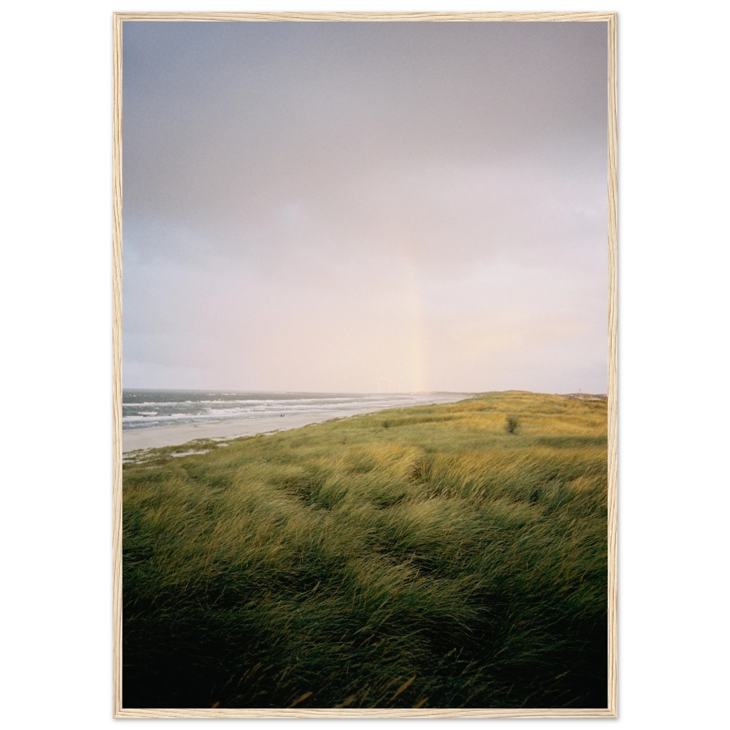 298ea910-5ffd-4966-b143-7eeed4a3565e