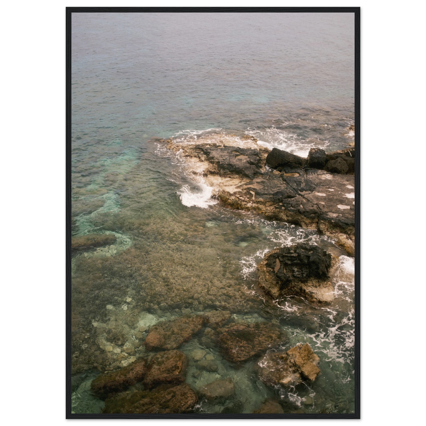 31566152-d60b-41d0-a37f-f4acde421034