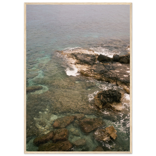 4292f66c-c8cf-43cd-b7c4-c322817d8aa6