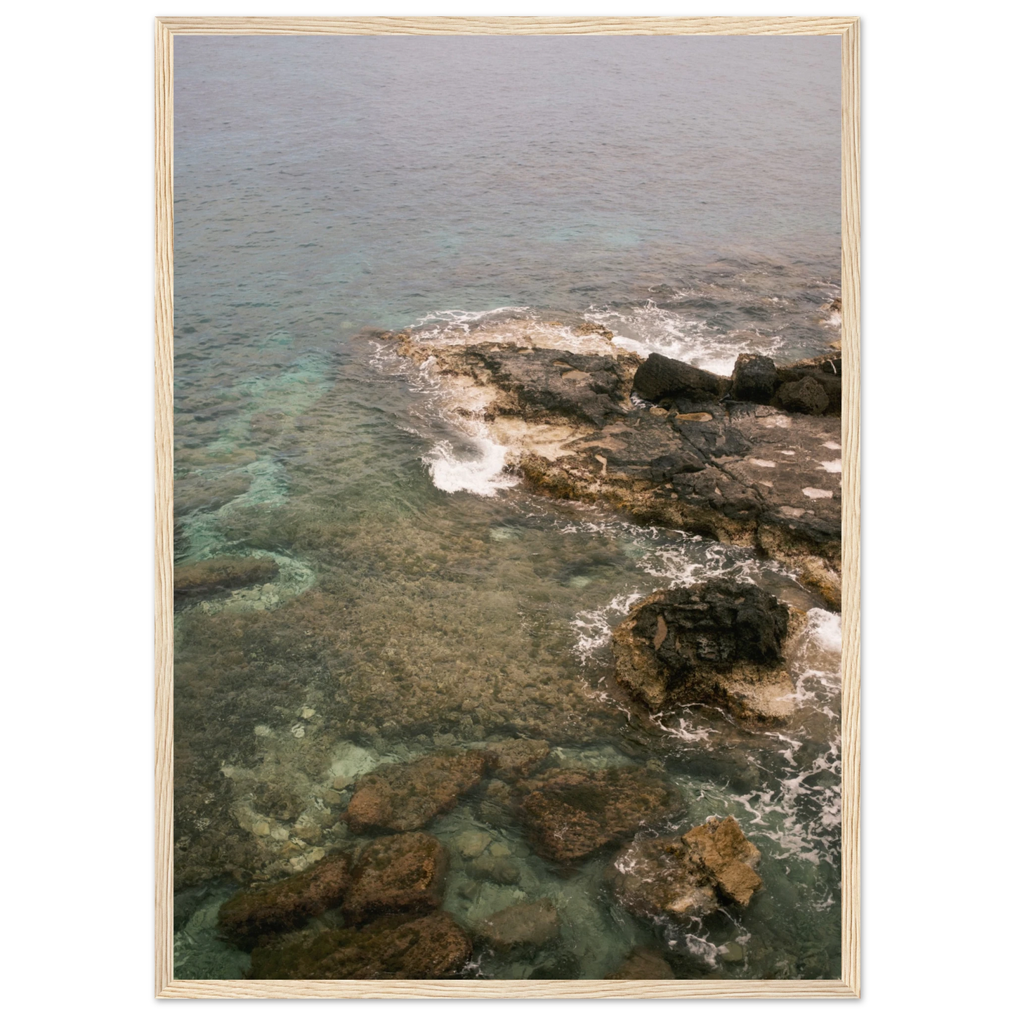 56614528-8fa2-46a8-8505-6f928ae9204f