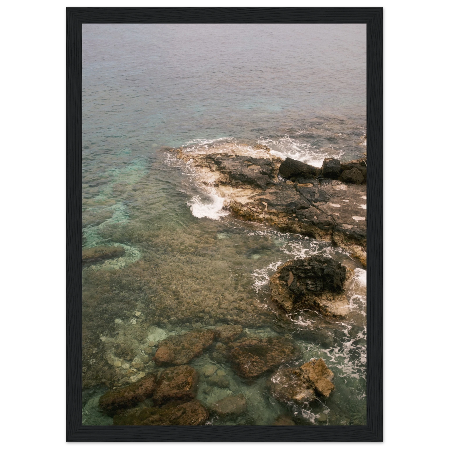 6e4259f5-41e0-4616-93e6-5d94c1b7fb0e