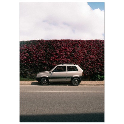 a515ab8c-39de-4375-ae06-6e92e835b656