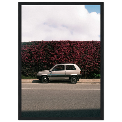 ad1053e8-b1b0-463c-ae19-1948154546f6