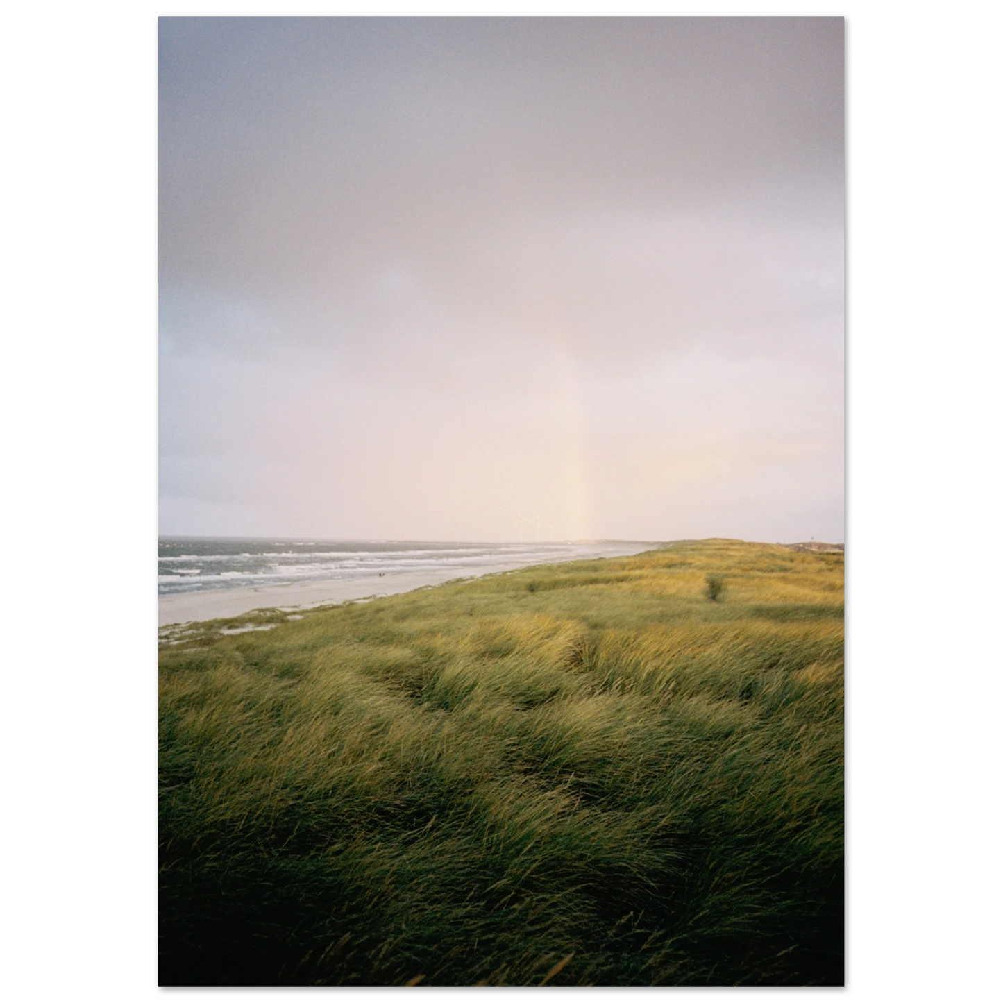 bcb479e0-42be-4a8c-8b61-acdf963431eb