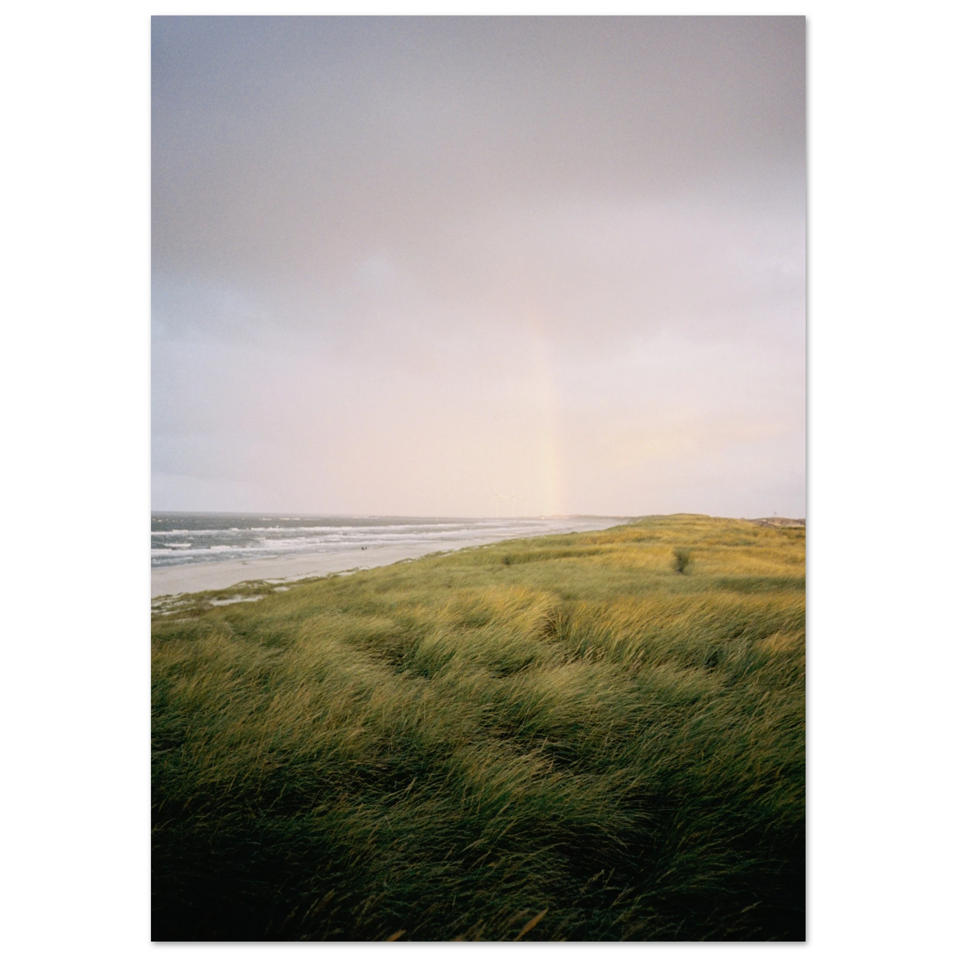 bcb479e0-42be-4a8c-8b61-acdf963431eb