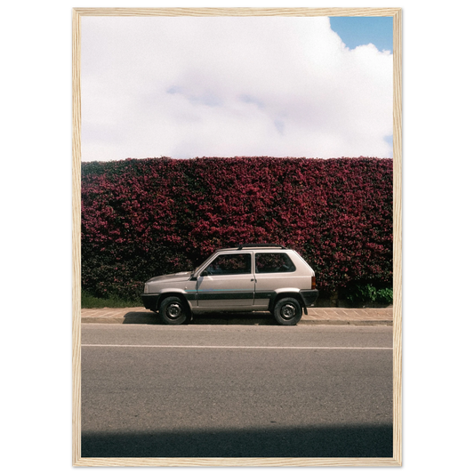 d2487fbf-f733-4652-9916-51a6363ed485