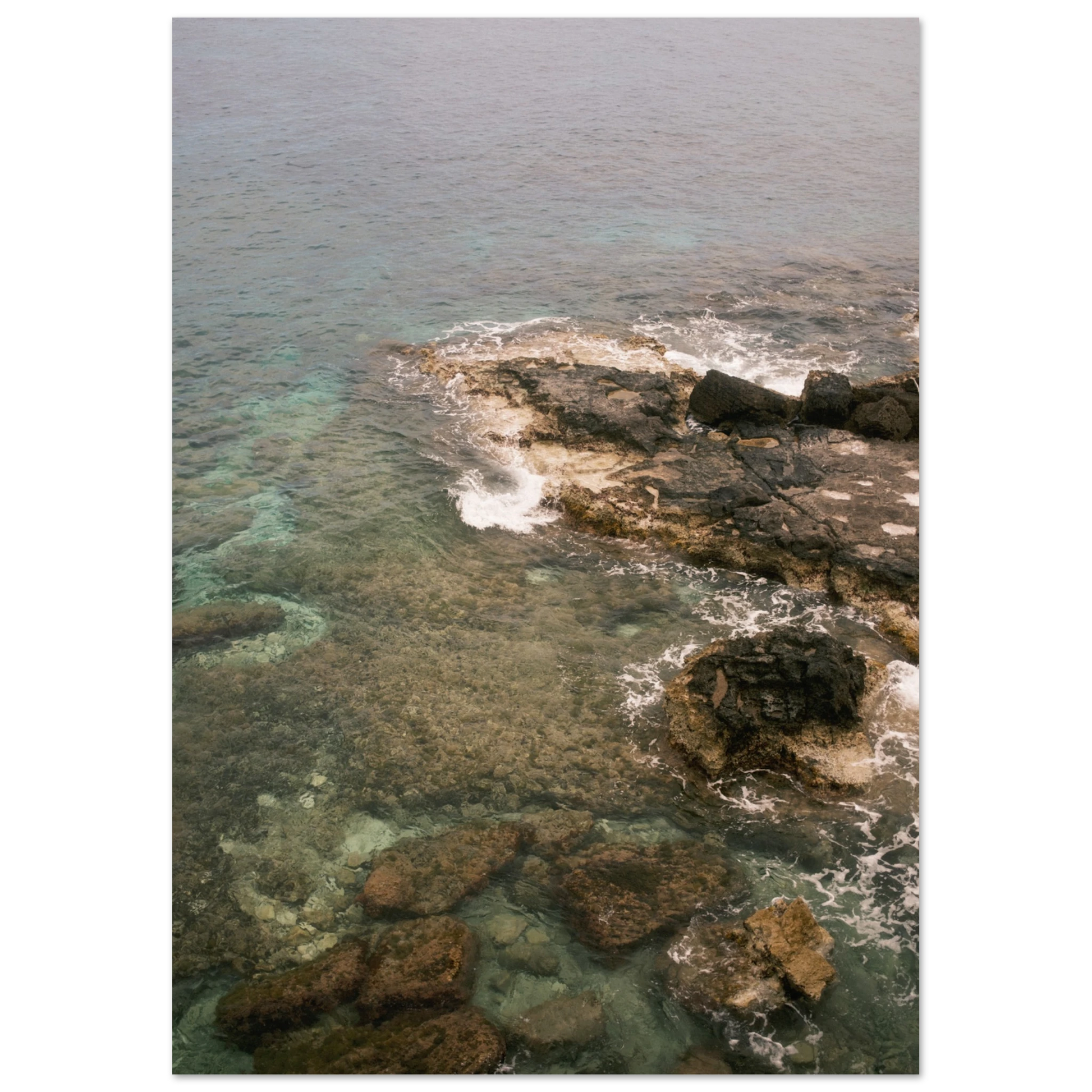 fa0064e1-656f-4b7b-87b7-e61acdc44d00