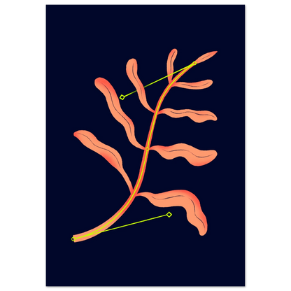 feca7987-e82b-440a-bda1-c0624e9bbe44