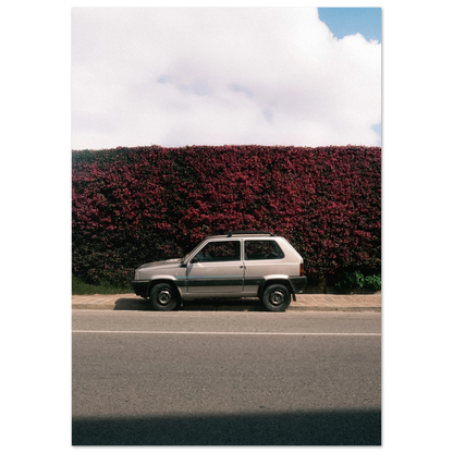 ff98b167-d7cd-4a4c-803d-5491b199cb97